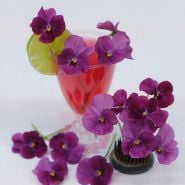 Photo of closeup of Laeta Wine Pansies on black brush with white/grey background and tea glass with lime garnish.