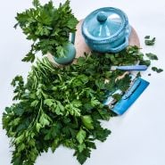 Giant of Italy Parsley with blue crock