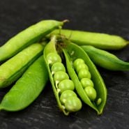 Close-up Little Marvel Garden Peas