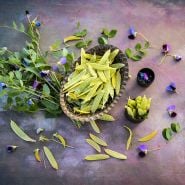 Golden Sweet Snow Pea with pea shoots and flowers on a pink background.             