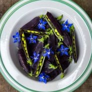 King Tut Purple Pea Pods in white bowl.