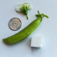 Sugar Bon Snap pea with blossom, coin and sugar cube.