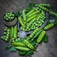 Tom Thumb Peas in shell, on pewter tray with coins o dark brown background.