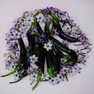 Murasaki flowers surround several Murasaki Purple Sweet Peppers on a white background.