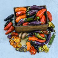 A wooden box full of Pippins Golden Honey Sweet Peppers with a honey dipper covered in honey. Whole and sliced peppers around the box next to a folded pocket knife.