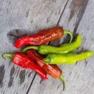 Five Shishito Sweet Peppers, three red two green, on a wood background.