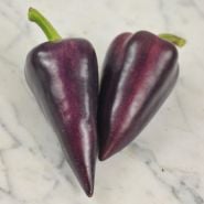 Two Violet Sparkle Peppers on a marble background.