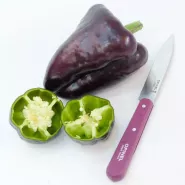 Heirloom Sweet Peppers