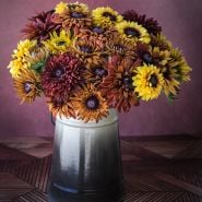 An arrangement of Sahara Rudbeckia flowers in brown pitcher against a burnt sienna background.