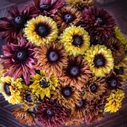 Overhead view of an arrangement of Sahara Rudbeckia.