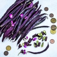 A large pile of Blauhilde Beans with blooms and German coins on a light background.