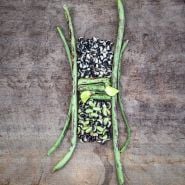 Thai Soldier Long Beans with piles of shelled beans and  blooms arranged artistically on a wooden background.