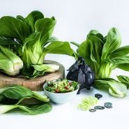 Fresh heads of Suzhou Baby Bok Choy with a bok choy salad on a white background.