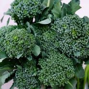 Calabrese Green Sprouting Broccoli against a pastel background.
