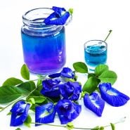 Thai Blue Butterfly Pea tea surrounded by blooms and foliage on white background.