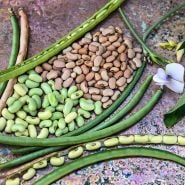 Clay Cowpeas arranged on copper patina background.
