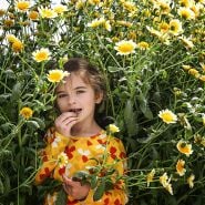 A little girl standing in bed full of blooming Big Leaf Tong Ho Chrysanthemum plants.