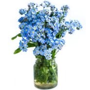 Blue Bird Forget-Me-Not flowers arrranged in a glass bottle against a white background.