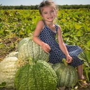 A smiling girl sits on top of a pile of freshly harvested Crespo Winter Squash.