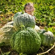 A smiling girl peaks out from behind a pile of Crespo Winter Squash in the Baker Creek trail farm in California.