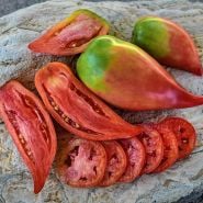 Cut and whole Korean Long Tomatoes on a stone background.