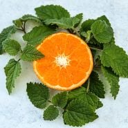 Mandarina Lemon Balm with sliced mandarin oranges.