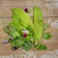 Carouby De Maussane Peas on wooden table.