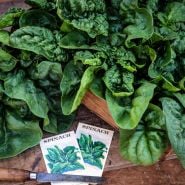 A wooden crate full of Bloomsdale Long Standing Spinach on a wooden cutting board with an old knife.