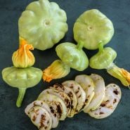Bennings Green Tint Scallop Summer Squash with grilled slices on a dark green background.