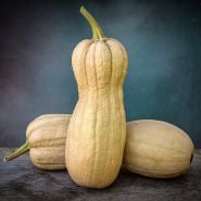 A couple of Butternut Rogosa Violina Gioia Winter Squash on a wood table against a blue background.