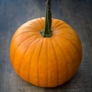 A single Connecticut Field Pumpkin Winter Squash on a wood background.