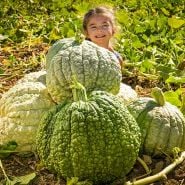 Crespo Squash 