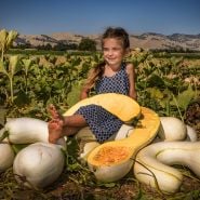 A smiling little girl sitting on a pile of Illinois Squash in the Baker Creek trial squash field in California.