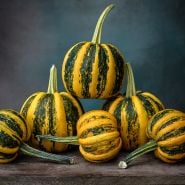 A stack of Kamo Kamo Squash at the winter squash stage of maturity on wood against a blue background.