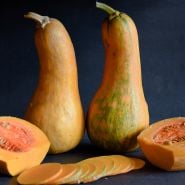 A couple of whole Butternut-Orange Winter Squash with slices on a dark background.