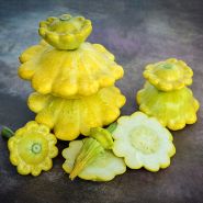 Patisson Golden Marbre Scallop Summer Squash on a brown background.