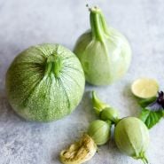 Young Ronde De Nice Summer Squash arranged on a light background.