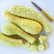 Rugosa Friulana Summer Squash with a yellow handled knife on white background.