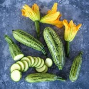 Whole and sliced Caserta Summer Squash with blooms on a variagated gray background.