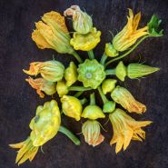 Patisson Golden Marbre Scallop Summer Squash arranged in a circle on  dark background.