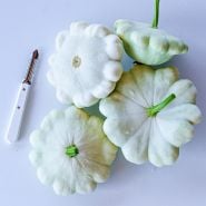 Four White Scallop Summer Squash with a white handled peeler on a white background.