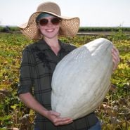 Woman holding a  Blue Hubbard Winter Squash in the Baker Creek trial farm in California.