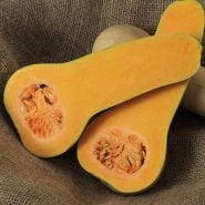 Cut open Burpee's Butterbush Butternut Winter Squash on burlap background.
