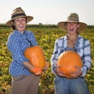 A Baker Creek employee and intern laughing while holding Connecticut Field Pumpkin Winter Squash.