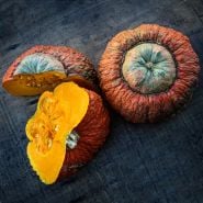 Overhead view of whole and cut Essex Hybrid Winter Squash on dark wood background.