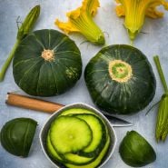 Sliced and whole Zapallito Del Tronco Summer Squash arranged with blooms on blue background.