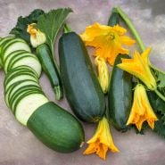 Sliced and whole Black Beauty Zucchini Summer Squash with blooms on a pastel background.