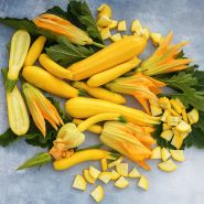 Whole and cut Golden Zucchini Summer Squash with leaves and blooms on light blue background.