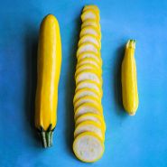 Two whole Golden Zucchini Summer Squash With a sliced squash in bewtween on blue background.