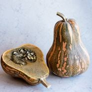 One whole and one cut Ayote Green Flesh Winter Squash on a light background.